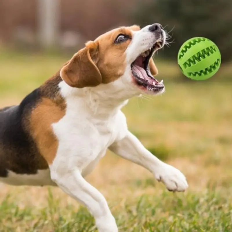 Dog Ball, Interactive Rubber Pet Toy