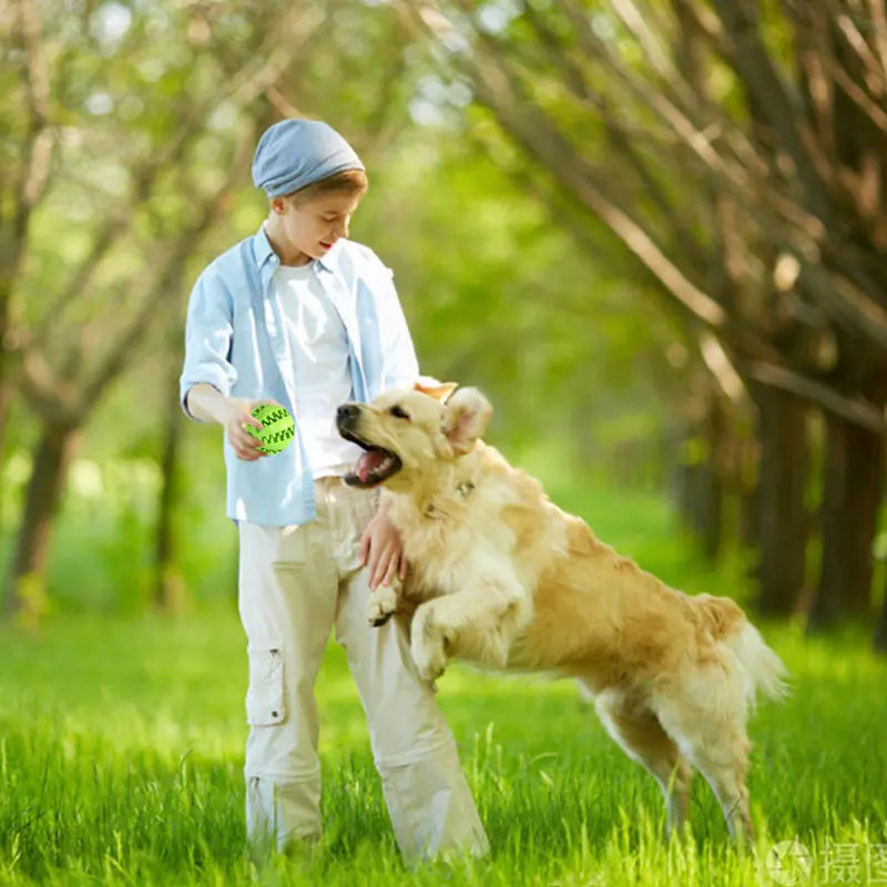 Dog Ball, Interactive Rubber Pet Toy