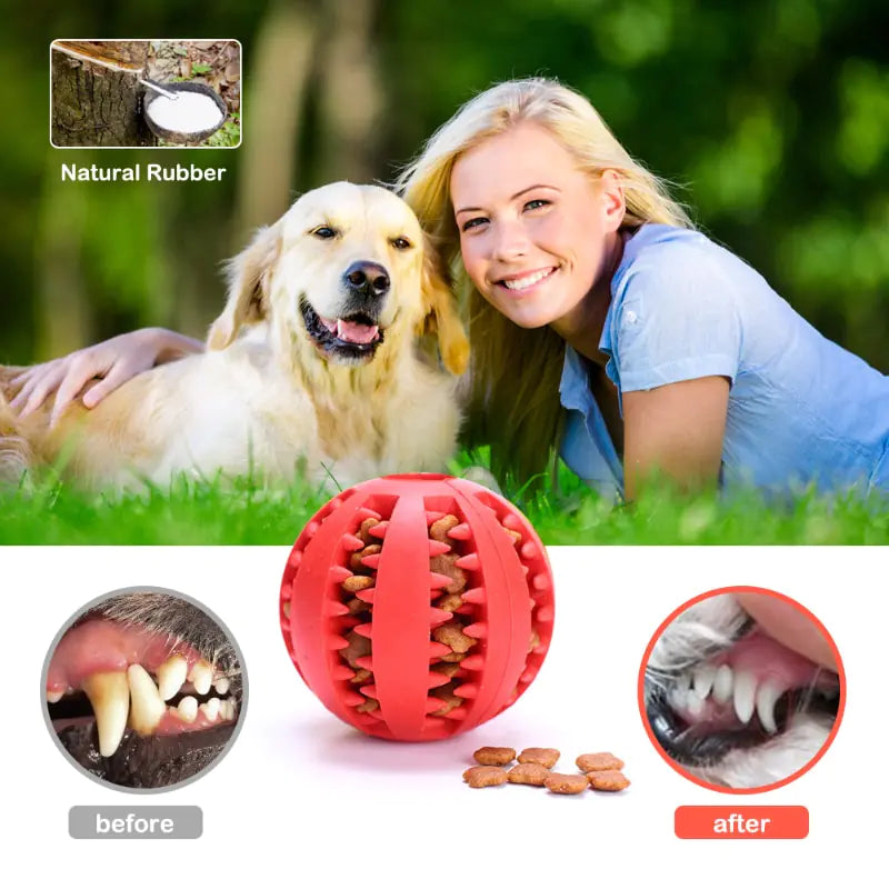 Dog Ball, Interactive Rubber Pet Toy